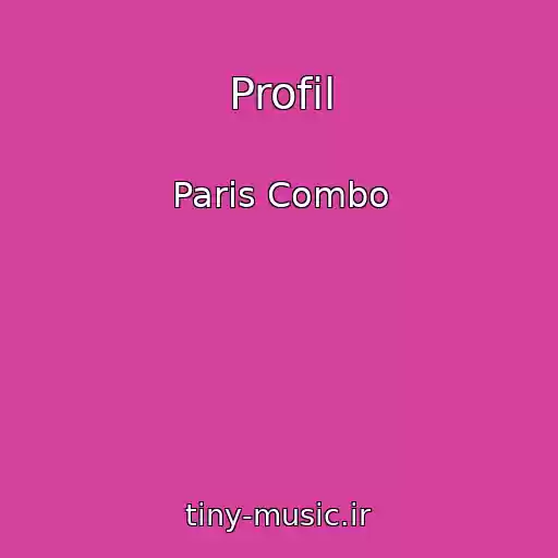 کاور آهنگ Profil از Paris Combo