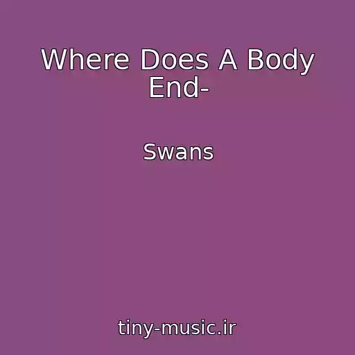 کاور آهنگ Where Does A Body End- از Swans