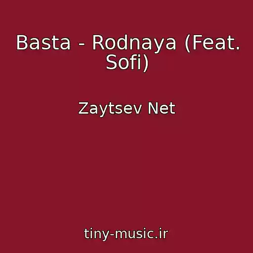 کاور آهنگ Basta - Rodnaya (Feat. Sofi) از Zaytsev Net