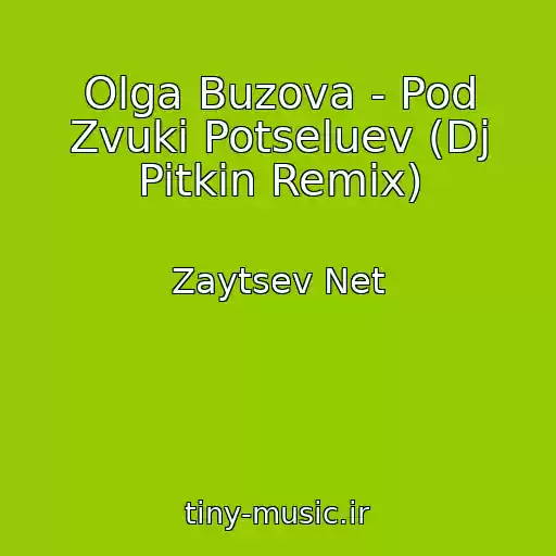 کاور آهنگ Olga Buzova - Pod Zvuki Potseluev (Dj Pitkin Remix) از Zaytsev Net