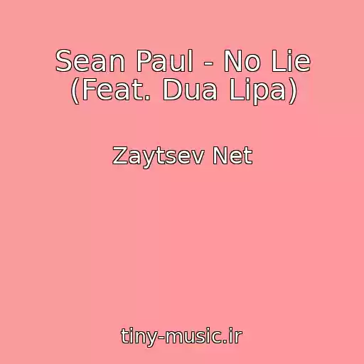 کاور آهنگ Sean Paul - No Lie (Feat. Dua Lipa) از Zaytsev Net