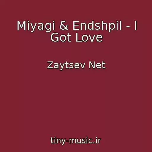 کاور آهنگ Miyagi & Endshpil - I Got Love از Zaytsev Net