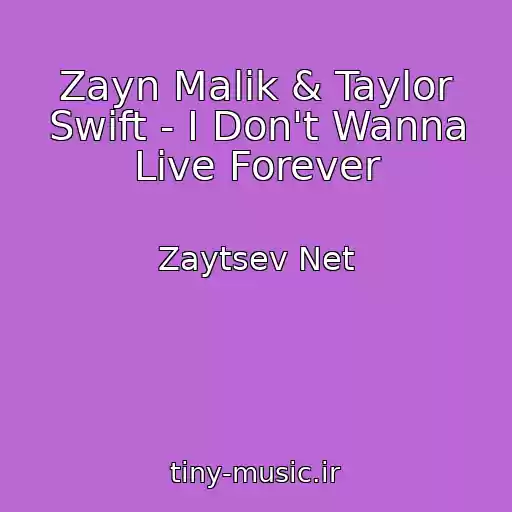 کاور آهنگ Zayn Malik & Taylor Swift - I Don't Wanna Live Forever از Zaytsev Net