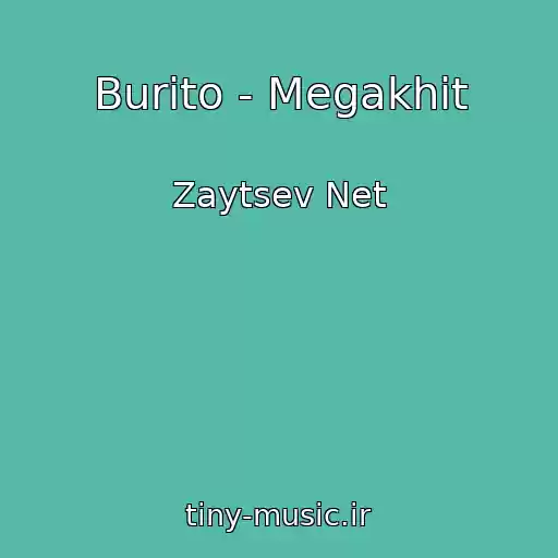 کاور آهنگ Burito - Megakhit از Zaytsev Net