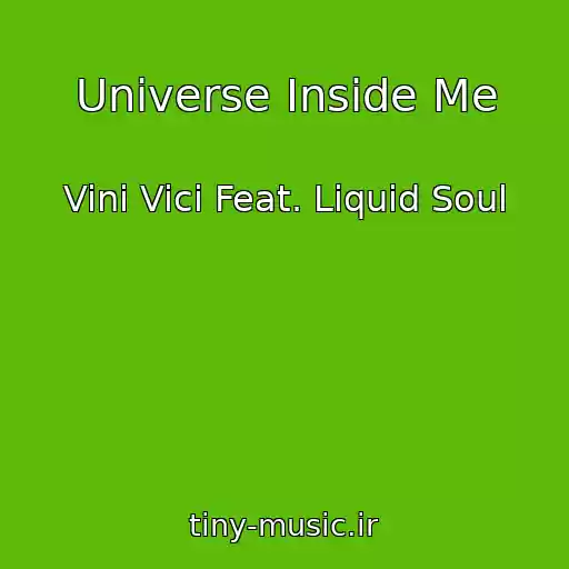 کاور آهنگ Universe Inside Me از Vini Vici Feat. Liquid Soul