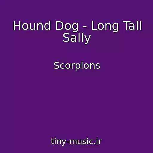 کاور آهنگ Hound Dog - Long Tall Sally از Scorpions