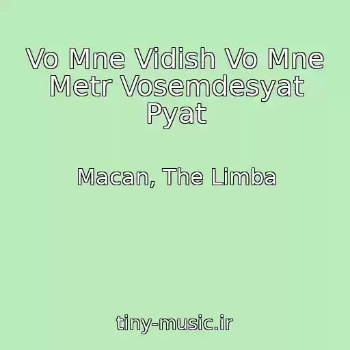 کاور آهنگ Vo Mne Vidish Vo Mne Metr Vosemdesyat Pyat از Macan, The Limba