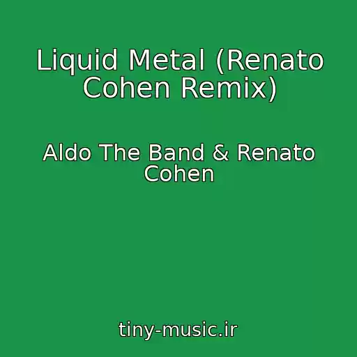 کاور آهنگ Liquid Metal (Renato Cohen Remix) از Aldo The Band & Renato Cohen
