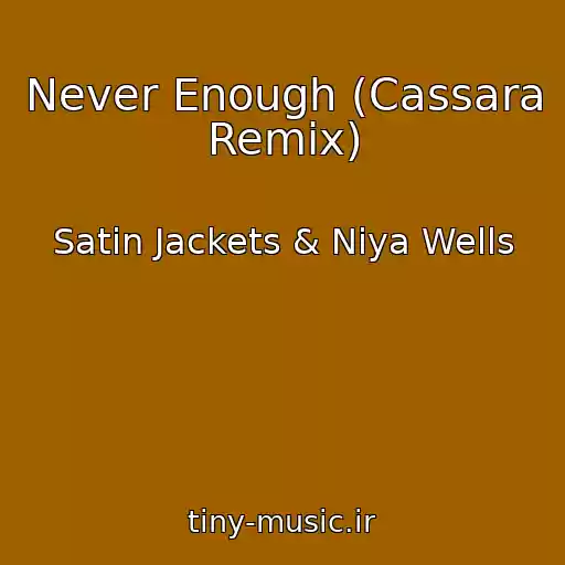 کاور آهنگ Never Enough (Cassara Remix) از Satin Jackets & Niya Wells