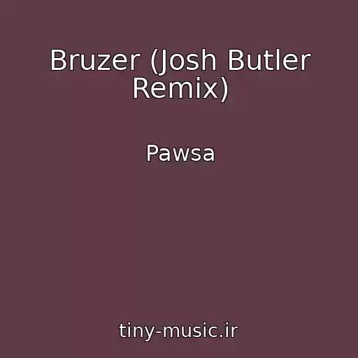 کاور آهنگ Bruzer (Josh Butler Remix) از Pawsa