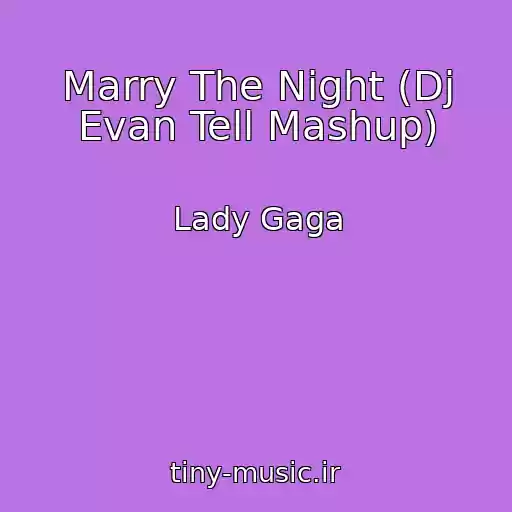 کاور آهنگ Marry The Night (Dj Evan Tell Mashup) از Lady Gaga