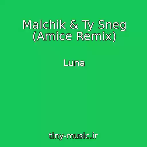 کاور آهنگ Malchik & Ty Sneg (Amice Remix) از Luna