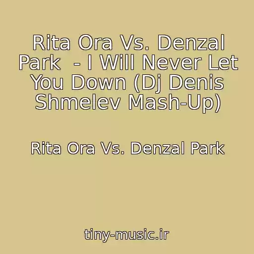 کاور آهنگ Rita Ora Vs. Denzal Park  - I Will Never Let You Down (Dj Denis Shmelev Mash-Up) از Rita Ora Vs. Denzal Park
