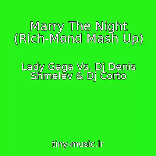 کاور آهنگ Marry The Night (Rich-Mond Mash Up) از Lady Gaga Vs. Dj Denis Shmelev & Dj Corto