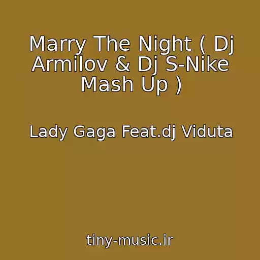 کاور آهنگ Marry The Night ( Dj Armilov & Dj S-Nike Mash Up ) از Lady Gaga Feat.dj Viduta