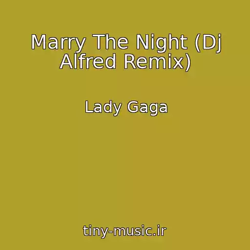 کاور آهنگ Marry The Night (Dj Alfred Remix) از Lady Gaga