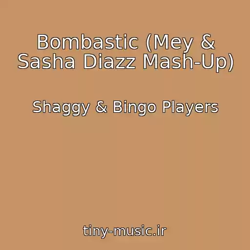 کاور آهنگ Bombastic (Mey & Sasha Diazz Mash-Up) از Shaggy & Bingo Players