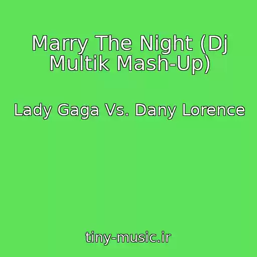 کاور آهنگ Marry The Night (Dj Multik Mash-Up) از Lady Gaga Vs. Dany Lorence