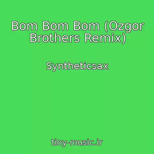 کاور آهنگ Bom Bom Bom (Ozgor Brothers Remix) از Syntheticsax