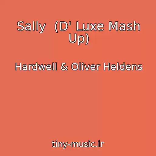 کاور آهنگ Sally  (D' Luxe Mash Up) از Hardwell & Oliver Heldens