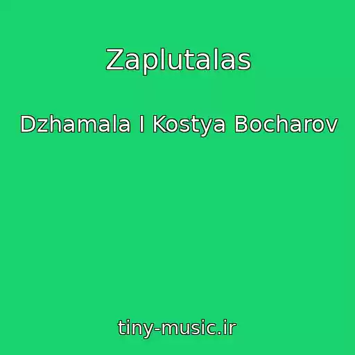 کاور آهنگ Zaplutalas از Dzhamala I Kostya Bocharov
