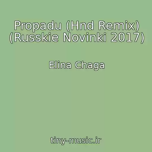 کاور آهنگ Propadu (Hnd Remix) (Russkie Novinki 2017) از Elina Chaga