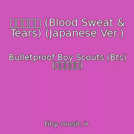کاور آهنگ 血、汗、涙 (Blood Sweat & Tears) (Japanese Ver.) از Bulletproof Boy Scouts (Bts) (防弾少年団)