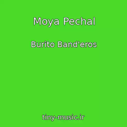 کاور آهنگ Moya Pechal از Burito Band'eros