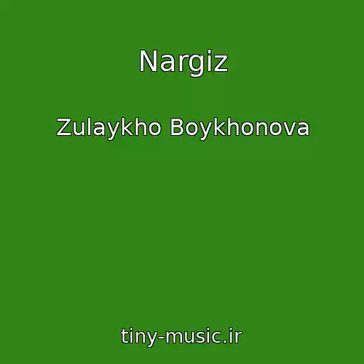 کاور آهنگ Nargiz از Zulaykho Boykhonova