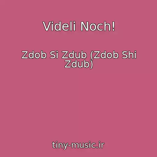 کاور آهنگ Videli Noch! از Zdob Si Zdub (Zdob Shi Zdub)