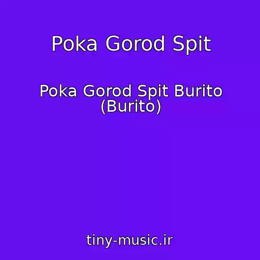 کاور آهنگ Poka Gorod Spit از Poka Gorod Spit Burito (Burito)
