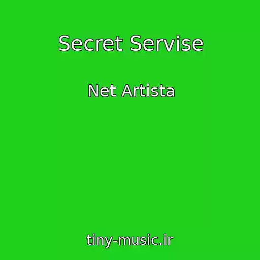کاور آهنگ Secret Servise از Net Artista