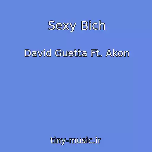 کاور آهنگ Sexy Bich از David Guetta Ft. Akon