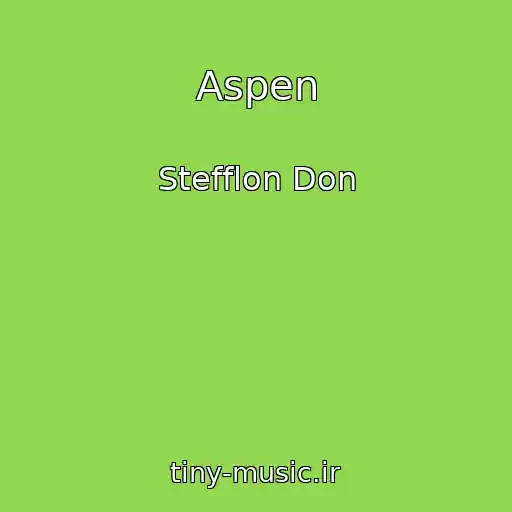 کاور آهنگ Aspen از Stefflon Don