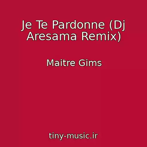 کاور آهنگ Je Te Pardonne (Dj Aresama Remix) از Maitre Gims