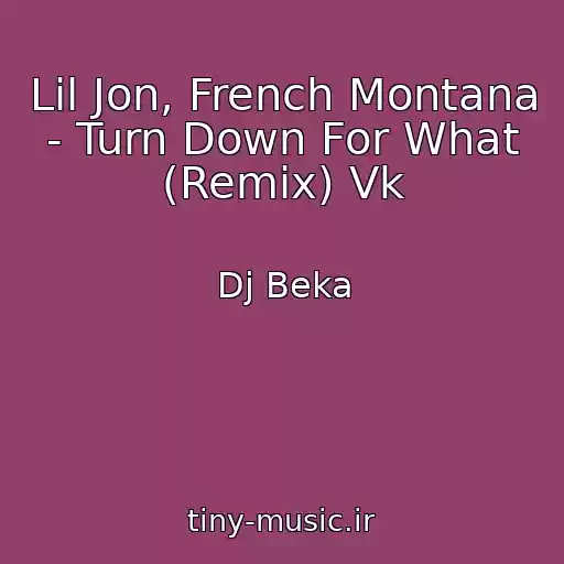 کاور آهنگ Lil Jon, French Montana - Turn Down For What (Remix) Vk از Dj Beka