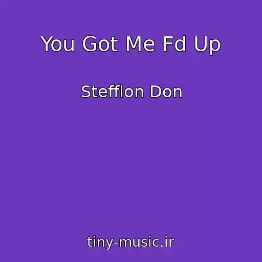 کاور آهنگ You Got Me Fd Up از Stefflon Don