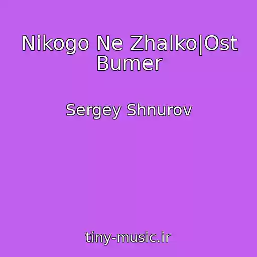 کاور آهنگ Nikogo Ne Zhalko|Ost Bumer از Sergey Shnurov