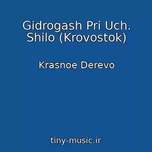 کاور آهنگ Gidrogash Pri Uch. Shilo (Krovostok) از Krasnoe Derevo