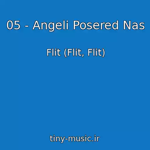 کاور آهنگ 05 - Angeli Posered Nas از Flіt (Flit, Flit)