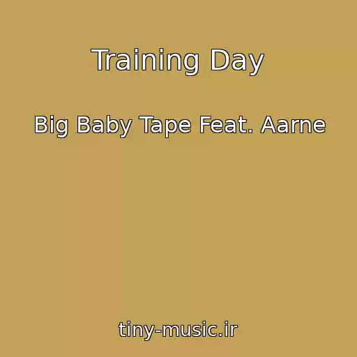 کاور آهنگ Training Day از Big Baby Tape Feat. Aarne