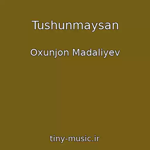 کاور آهنگ Tushunmaysan از Oxunjon Madaliyev