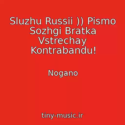کاور آهنگ Sluzhu Russii )) Pismo Sozhgi Bratka Vstrechay Kontrabandu! از Nogano