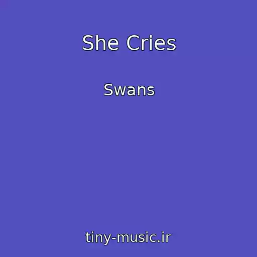 کاور آهنگ She Cries از Swans