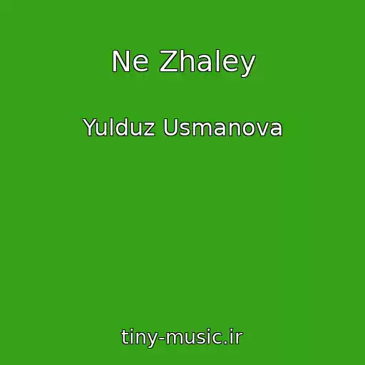 کاور آهنگ Ne Zhaley از Yulduz Usmanova