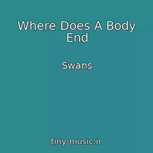 کاور آهنگ Where Does A Body End از Swans