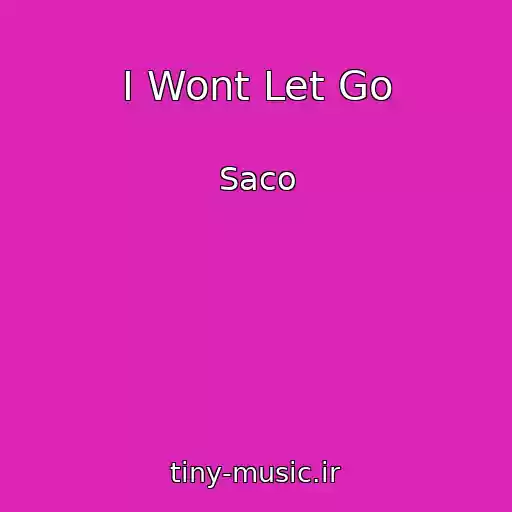 کاور آهنگ I Wont Let Go از Saco