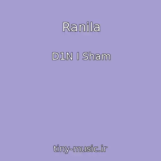 کاور آهنگ Ranila از D1N I Sham