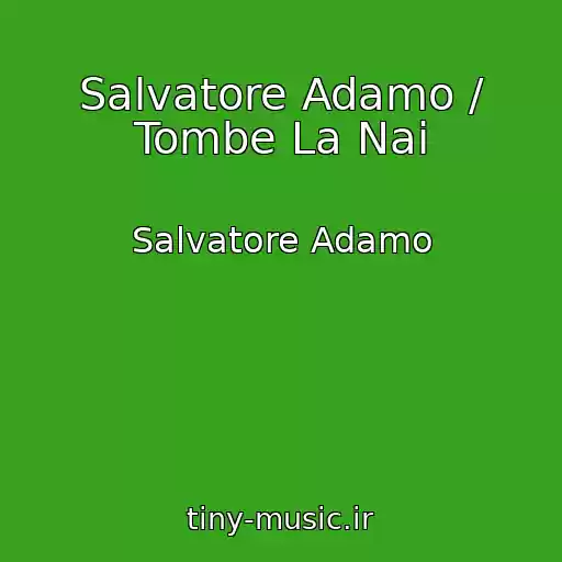 کاور آهنگ Salvatore Adamo / Tombe La Nai از Salvatore Adamo