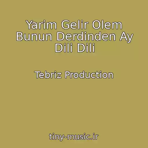 کاور آهنگ Yarim Gelir Olem Bunun Derdinden Ay Dili Dili از Tebriz Production